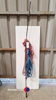 lunge whip, lunge rope and two long lines