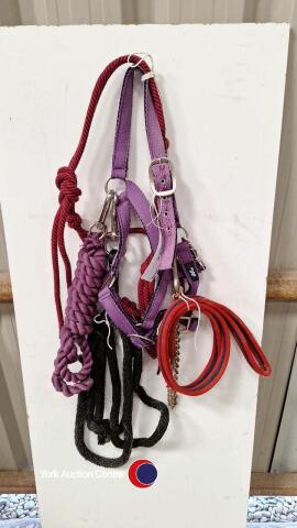 2 pony headcollars and 3 lead ropes