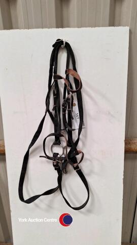 webbing shetland/pony bridle & bit