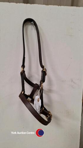 XS English leather headcollar, as new, never used
