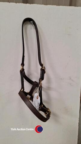 XS English leather headcollar, as new, never used