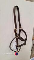 XS English leather headcollar, as new, never used - 3