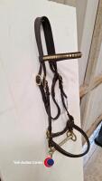 Cob top quality English cob inhand bridle, brass brow, stitched nose, fancy brass buckles, 5.5' horseshoe bit - 2