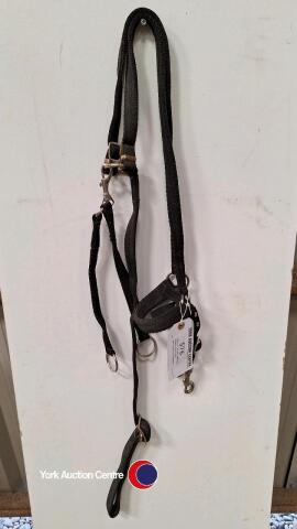 Cob/full black webbing breastplate with martingale attachment