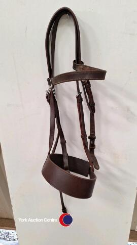 Brown Cob hunter bridle with 2inch noseband