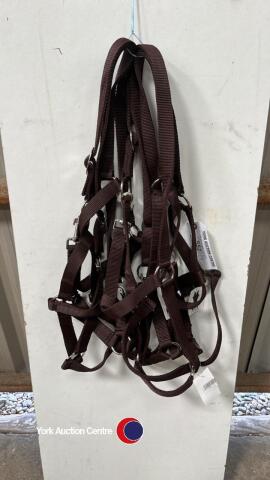 5x Full size headcollars