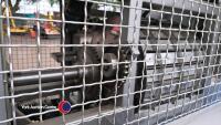 Stainless steel potato quartering machine - 4