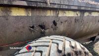 Major 900 muck spreader - 5