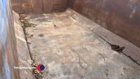 10T tipping trailer c/w barn doors - 6