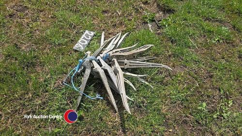 19 x tines