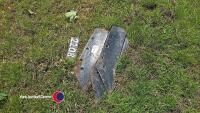 3 x Rabe plough share - 2