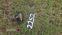 Ball hitch with pin