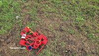 Pick up reel tines