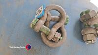 2x large heavy duty D links - 2