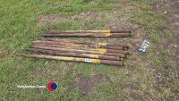 Set of heavy duty tines for buck rake or muck fork - 2