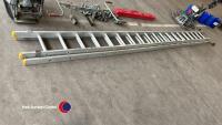 Extra large Ali ladders, set of 2 - 3
