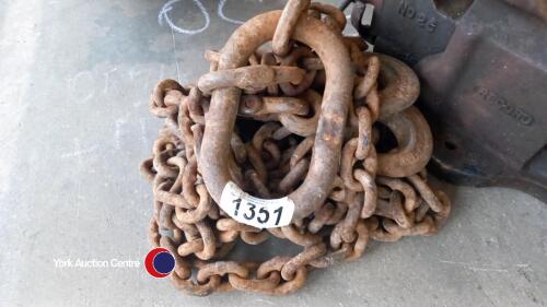 12ft lifting chain