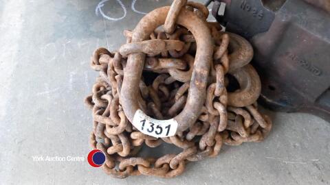 12ft lifting chain