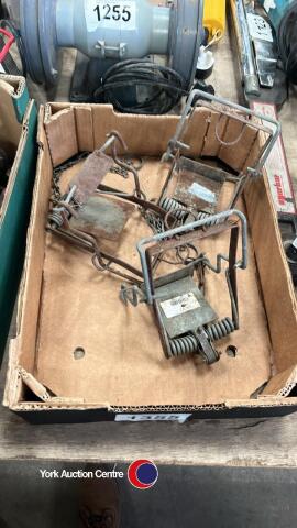 Box of rat traps