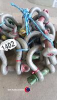 10 lifting shackles