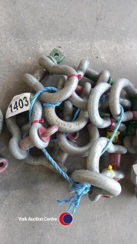 10 lifting shackles
