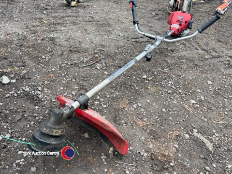 Einhell WL1E36F petrol strimmer