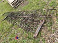 Garden railings - 2