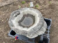 Bird bath - 3