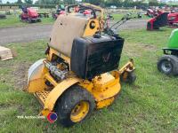 Wrights stand on mower - 3