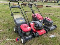 3 x lawnmowers - 2