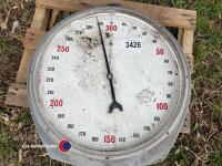 Cattle weigh scales