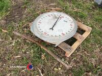 Cattle weigh scales - 2