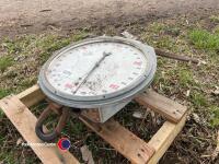 Cattle weigh scales - 3