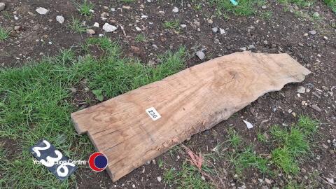 Oak slab approx 1.5m x 400mm x 50mm