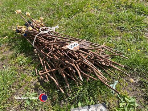 40 x electric fence stakes