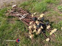 40 x electric fence stakes - 3