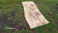 Beech slab, table top