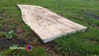 Beech slab, table top - 2