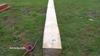 10ft Ash Beam 8in x 8in - 2