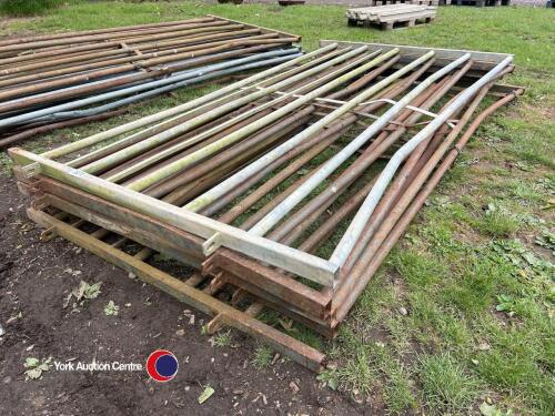 6 x Glendale heavy duty cattle gates