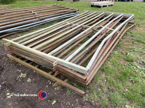 6 x Glendale heavy duty cattle gates