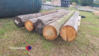 5 x 10ft telegraph poles - 4