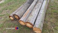 5 x 10ft telegraph poles - 3