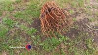 7 Chimney Bird Cage Cowl Covers - 3
