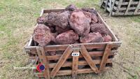 Red volcanic Basalt for fish tanks or rockery stone - 2