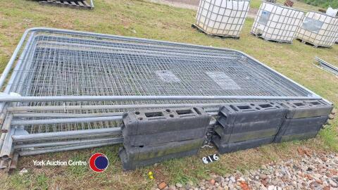 12 x Heras panels complete with feet and clips, good condition.