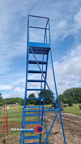 Warehouse platform ladders
