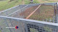 Mobile storage cage - 4