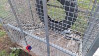 Mobile storage cage - 5