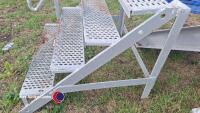 Pair of strong metal steps with hand rails - 4